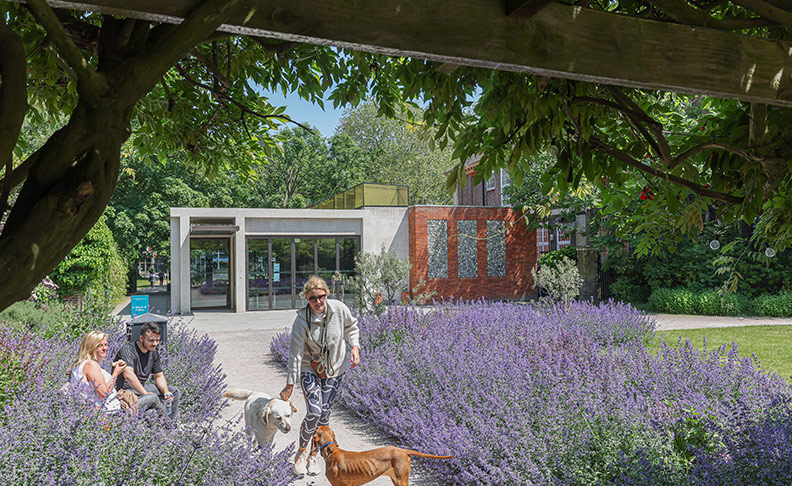 注目ディベロップメント