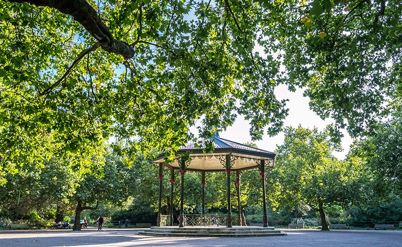 注目ディベロップメント