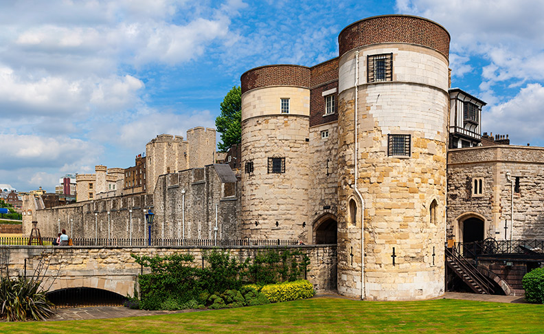 ライフスタイル & 文化